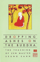 Dropping Ashes on the Buddha