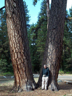 Walter A Cooke at Ponderosa State Park McCall Idaho